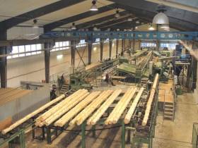 Новый лесопромышленный бизнес на принципах бережного отношения к природе создают в Якутии