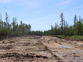 В Якутии с рабочим визитом находится заместитель руководителя Рослесхоза