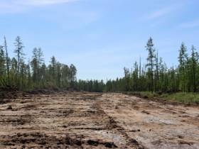 Замруководителя Рослесхоза осмотрел противопожарные обустройства в Горном улусе