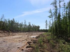 Замруководителя Рослесхоза осмотрел противопожарные обустройства в Горном улусе