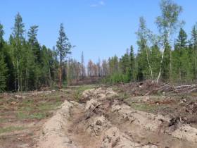 Замруководителя Рослесхоза осмотрел противопожарные обустройства в Горном улусе