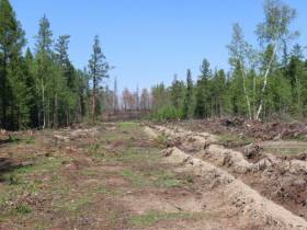 Замруководителя Рослесхоза осмотрел противопожарные обустройства в Горном улусе
