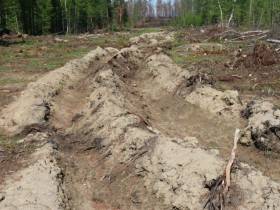 Замруководителя Рослесхоза осмотрел противопожарные обустройства в Горном улусе