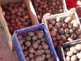 Обзор цен на рассаду, фрукты, овощи, мясо, рыбу на Крестьянском рынке Якутска