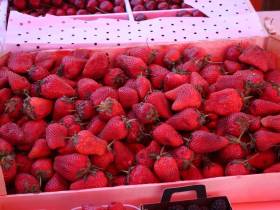 Обзор цен на рассаду, фрукты, овощи, мясо, рыбу на Крестьянском рынке Якутска