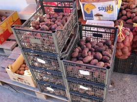 Обзор цен на рассаду, фрукты, овощи, мясо, рыбу на Крестьянском рынке Якутска