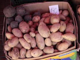 Обзор цен на рассаду, фрукты, овощи, мясо, рыбу на Крестьянском рынке Якутска