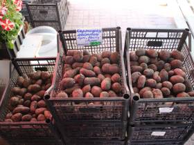 Обзор цен на рассаду, фрукты, овощи, мясо, рыбу на Крестьянском рынке Якутска