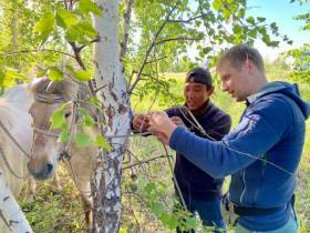 Якутский конный всадник Дугуйдан Винокуров, идущий из Оймякона в Москву, направляется в Башкирию