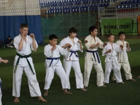 Хаид Мантаев провел мастер-класс для якутских каратистов