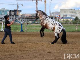 На городском ипподроме стартовал «Смотр верховой езды среди конных клубов Якутии»