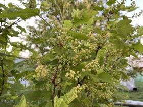 В России 51 фермерское хозяйство получит поддержку на развитие агротуристических проектов