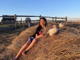 В России 51 фермерское хозяйство получит поддержку на развитие агротуристических проектов