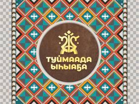 Команда дизайнеров разработала брендбук Ысыаха Туймаады