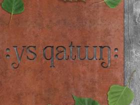 Команда дизайнеров разработала брендбук Ысыаха Туймаады