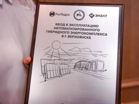 Крупнейшую солнечную станцию в Заполярье ввели в арктическом районе Якутии