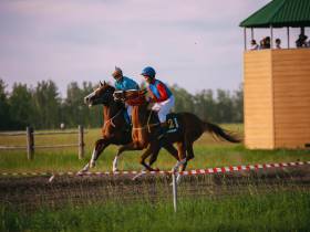 Победителем скачек на приз главы Якутии стал скакун Крит