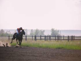 Победителем скачек на приз главы Якутии стал скакун Крит