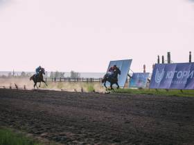 Победителем скачек на приз главы Якутии стал скакун Крит