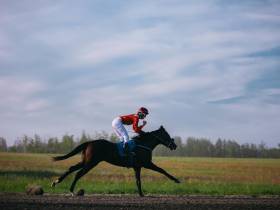 Победителем скачек на приз главы Якутии стал скакун Крит