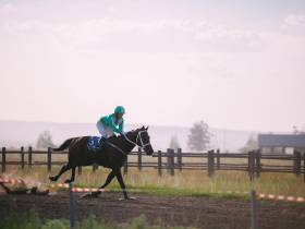 Победителем скачек на приз главы Якутии стал скакун Крит
