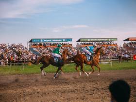 Победителем скачек на приз главы Якутии стал скакун Крит