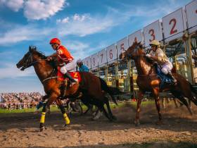 Победителем скачек на приз главы Якутии стал скакун Крит