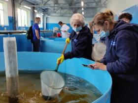 Вилюйское водохранилище в Якутии пополнилось ценной промысловой рыбой