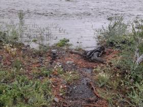 До 27 увеличилось количество подтопленных дворов в селе Себян-Кюель