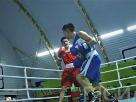 Боксеры выяснили на ринге имена финалистов и бронзовых призеров на Спортивных играх народов Якутии