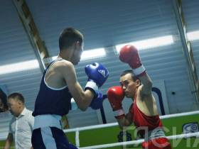 Боксеры выяснили на ринге имена финалистов и бронзовых призеров на Спортивных играх народов Якутии