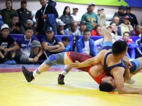 Тютрин, Скрябин и другие звёздные борцы взяли золотые медали Спортивных игр народов Якутии