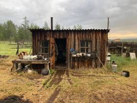 Тела двух человек обнаружены на территории особо охраняемого резервата "Кенкеме"