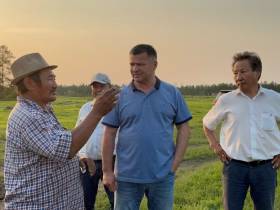 В Таттинском районе взамен аварийного строят новый коровник