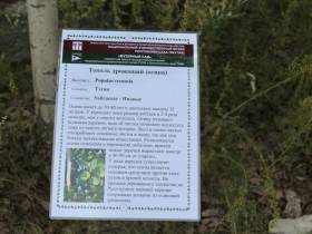 Сквер галереи зарубежного искусства с садом и работами керамистов открыли в Якутске