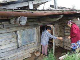 Около 30 лет жительница Сунтарского района выращивает огурцы в подземной теплице