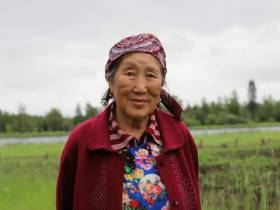 Около 30 лет жительница Сунтарского района выращивает огурцы в подземной теплице