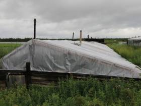 Около 30 лет жительница Сунтарского района выращивает огурцы в подземной теплице