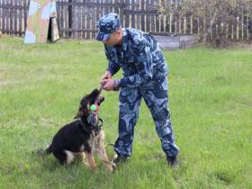 Щенков из Иркутской области готовят к несению разыскной службы в Якутии