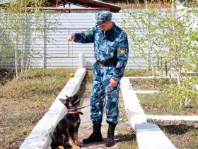 Щенков из Иркутской области готовят к несению разыскной службы в Якутии