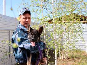 Щенков из Иркутской области готовят к несению разыскной службы в Якутии
