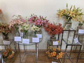 К 60-летию Якутского ботанического сада состоялся фестиваль «Северные лилии»