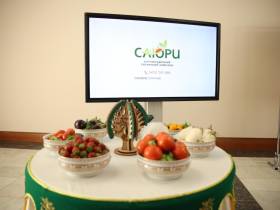 Алексей Чекунков предложил новые меры господдержки для объектов АПК