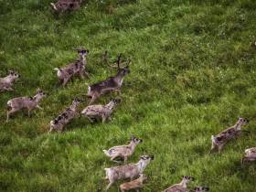 АЛРОСА продолжает исследовать способность кимберлита поглощать СО2 в Якутии