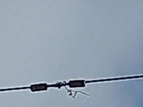 Лента от воздушного шарика стала причиной отключения электроэнергии в центре Якутска