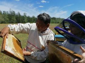 Семен Попов: "Якутский мёд может стать экспортным товаром"