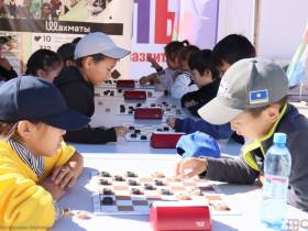 Для жителей Якутска организовали фестиваль «Го Genius»