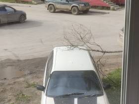 Фото и видео: последствия сильного ветра в Якутске