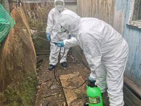 В Чульмане прошли межрегиональные учения по ликвидации гриппа птиц