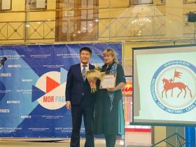 Более 4000 вакансий представят работодатели Якутии на республиканской ярмарке «Траектория карьеры»